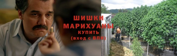 прущие грибы Михайловск