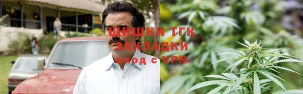 прущие грибы Михайловск