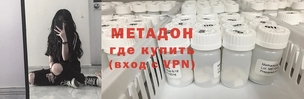 прущие грибы Михайловск