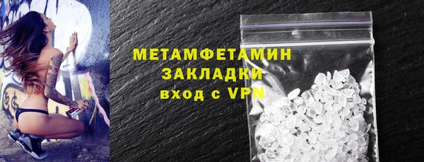 прущие грибы Михайловск