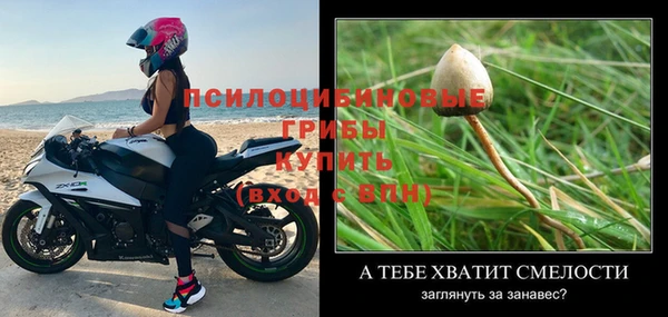 прущие грибы Михайловск