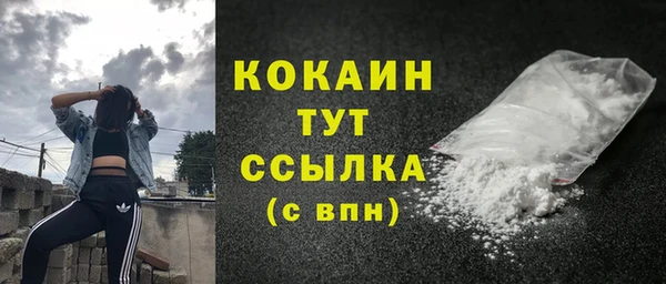 прущие грибы Михайловск