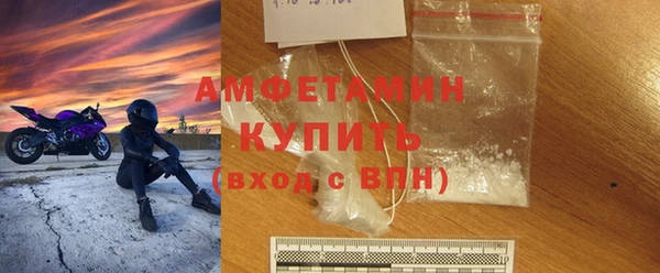 прущие грибы Михайловск
