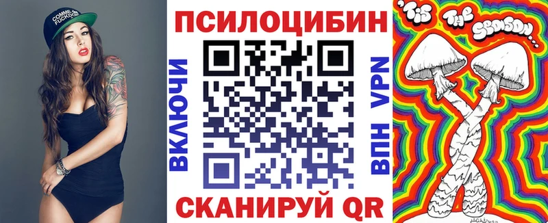 Купить где  Алексеевка  Галлюциногенные грибы Psilocybe 